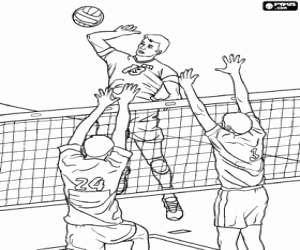 Volleyball players near the net coloring page